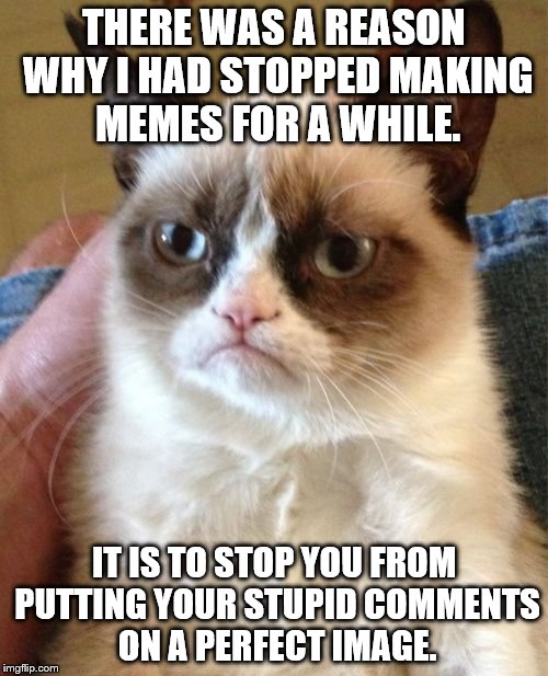 Grumpy Cat | THERE WAS A REASON WHY I HAD STOPPED MAKING MEMES FOR A WHILE. IT IS TO STOP YOU FROM PUTTING YOUR STUPID COMMENTS ON A PERFECT IMAGE. | image tagged in memes,grumpy cat | made w/ Imgflip meme maker