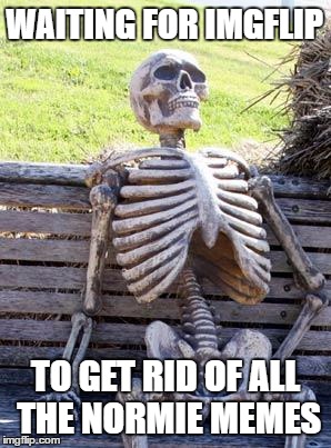 Waiting Skeleton | WAITING FOR IMGFLIP; TO GET RID OF ALL THE NORMIE MEMES | image tagged in memes,waiting skeleton | made w/ Imgflip meme maker