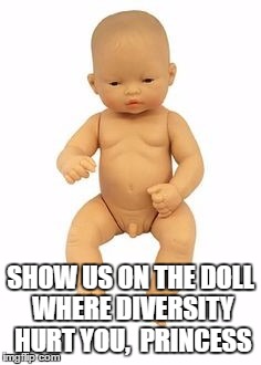 SHOW US ON THE DOLL WHERE DIVERSITY HURT YOU,  PRINCESS | image tagged in diversity,transgender,gender,lgbtq | made w/ Imgflip meme maker