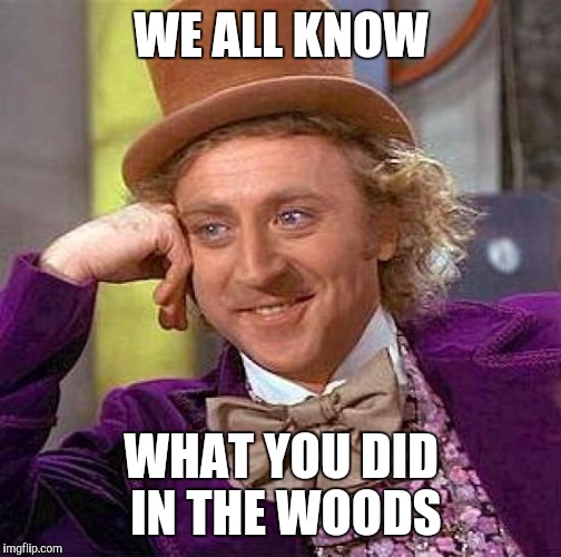 Creepy Condescending Wonka Meme | WE ALL KNOW WHAT YOU DID IN THE WOODS | image tagged in memes,creepy condescending wonka | made w/ Imgflip meme maker