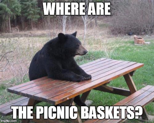 Bad Luck Bear | WHERE ARE; THE PICNIC BASKETS? | image tagged in memes,bad luck bear | made w/ Imgflip meme maker