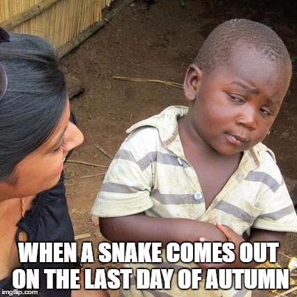 Third World Skeptical Kid | WHEN A SNAKE COMES OUT ON THE LAST DAY OF AUTUMN | image tagged in memes,third world skeptical kid | made w/ Imgflip meme maker