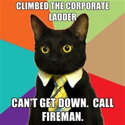 No one's heard much of the BUSINESS CAT meme :) | 4 | image tagged in funny,meme | made w/ Imgflip meme maker