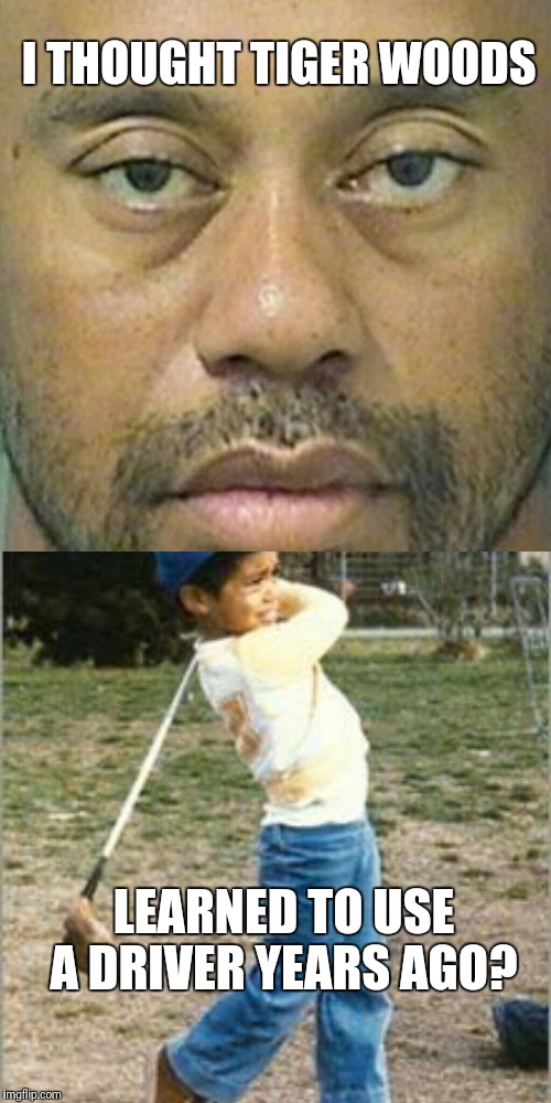 Drunk tiger  | I THOUGHT TIGER WOODS; LEARNED TO USE A DRIVER YEARS AGO? | image tagged in tiger woods mug shot,tiger woods,funny memes,funny | made w/ Imgflip meme maker