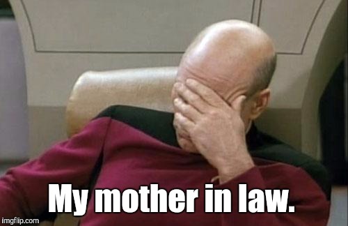 Captain Picard Facepalm Meme | My mother in law. | image tagged in memes,captain picard facepalm | made w/ Imgflip meme maker