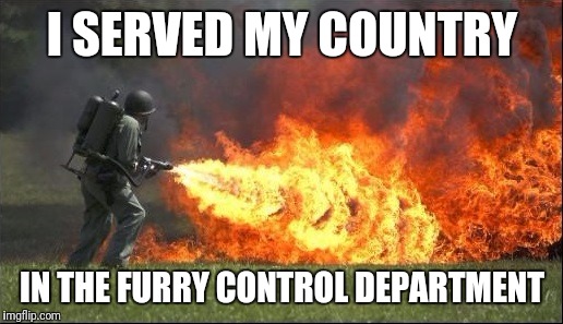 Kill it with fire | I SERVED MY COUNTRY; IN THE FURRY CONTROL DEPARTMENT | image tagged in kill it with fire | made w/ Imgflip meme maker