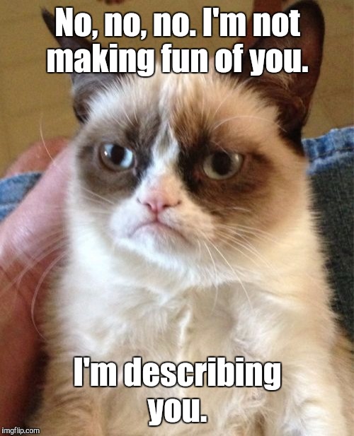 Grumpy Cat Meme | No, no, no. I'm not making fun of you. I'm describing you. | image tagged in memes,grumpy cat | made w/ Imgflip meme maker