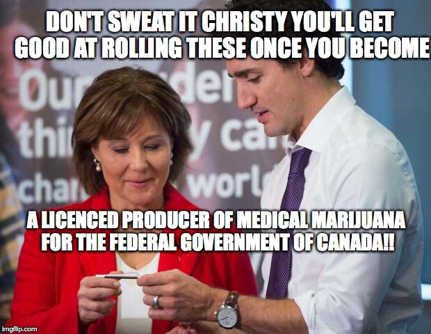 Christy Clarke gets a new job | DON'T SWEAT IT CHRISTY YOU'LL GET GOOD AT ROLLING THESE ONCE YOU BECOME; A LICENCED PRODUCER OF MEDICAL MARIJUANA FOR THE FEDERAL GOVERNMENT OF CANADA!! | image tagged in justin trudeau,christy clarke,marijuana,medical marijuana,canada | made w/ Imgflip meme maker