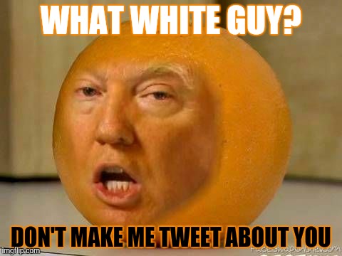 WHAT WHITE GUY? DON'T MAKE ME TWEET ABOUT YOU | made w/ Imgflip meme maker
