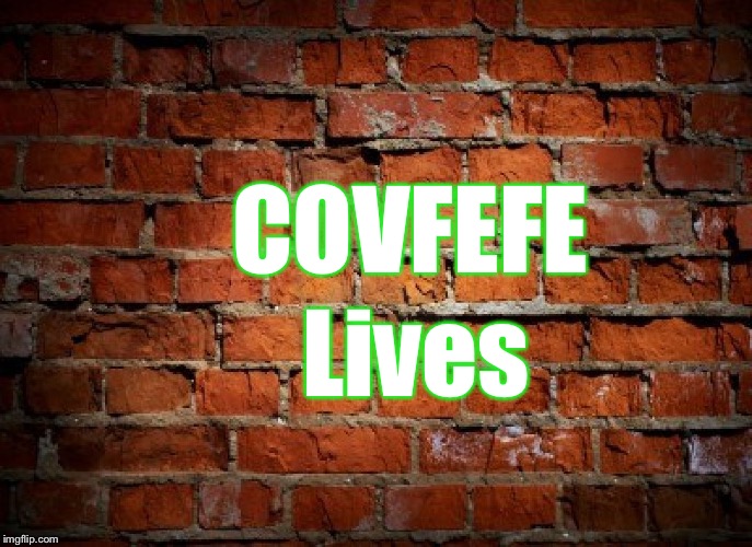 Brick wall | COVFEFE; Lives | image tagged in brick wall | made w/ Imgflip meme maker