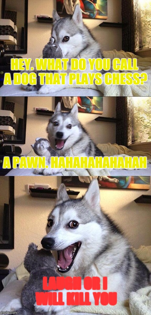 Bad Pun Dog | HEY. WHAT DO YOU CALL A DOG THAT PLAYS CHESS? A PAWN. HAHAHAHAHAHAH; LAUGH OR I WILL KILL YOU | image tagged in memes,bad pun dog | made w/ Imgflip meme maker