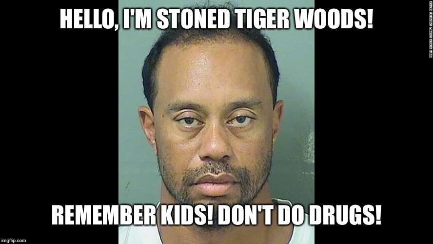 HELLO, I'M STONED TIGER WOODS! REMEMBER KIDS! DON'T DO DRUGS! | made w/ Imgflip meme maker