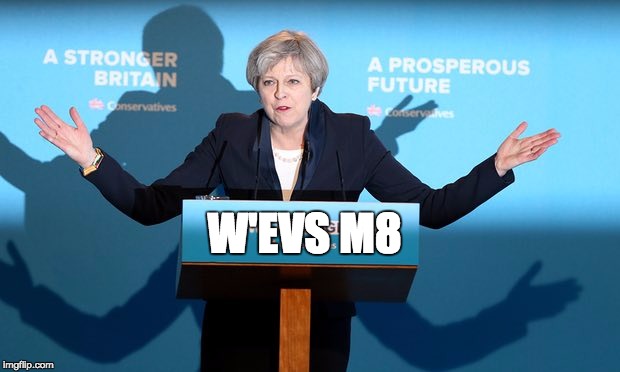 Theresa May ¯_(ツ)_/¯ | W'EVS M8 | image tagged in shrug,shruggie,whatever,theresa may,__/ | made w/ Imgflip meme maker