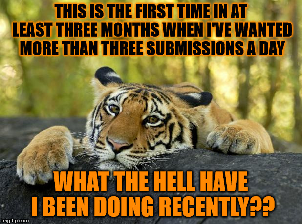 I guess I just haven't had the time recently, what with one thing or another . . . | THIS IS THE FIRST TIME IN AT LEAST THREE MONTHS WHEN I'VE WANTED MORE THAN THREE SUBMISSIONS A DAY; WHAT THE HELL HAVE I BEEN DOING RECENTLY?? | image tagged in confession tiger,three submissions | made w/ Imgflip meme maker