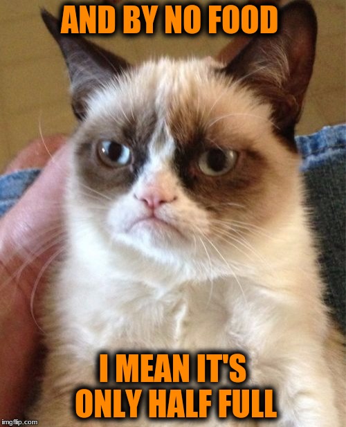 Grumpy Cat Meme | AND BY NO FOOD I MEAN IT'S ONLY HALF FULL | image tagged in memes,grumpy cat | made w/ Imgflip meme maker