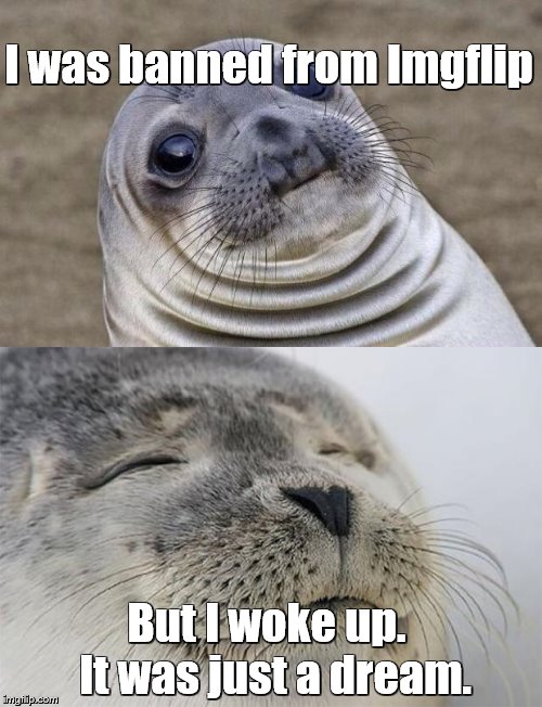 This is seriously a dream I had this morning.   Dodged a bullet. :) | I was banned from Imgflip; But I woke up.  It was just a dream. | image tagged in memes,awkward moment sealion,satisfied seal,dreams | made w/ Imgflip meme maker