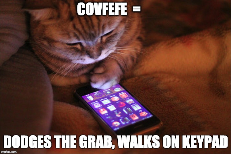 Covfefe Cat | COVFEFE 
=; DODGES THE GRAB, WALKS ON KEYPAD | image tagged in cat,keypad,trump,covfefe | made w/ Imgflip meme maker