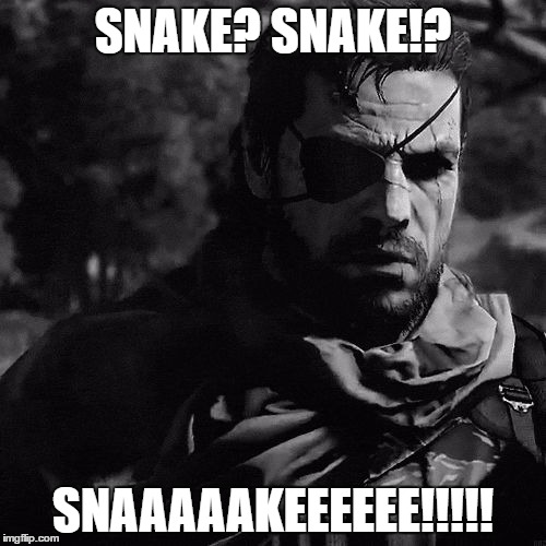 solid snake | SNAKE? SNAKE!? SNAAAAAKEEEEEE!!!!! | image tagged in solid snake | made w/ Imgflip meme maker