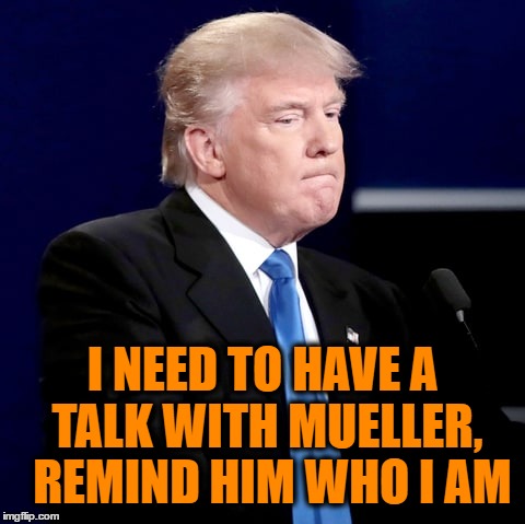 I NEED TO HAVE A TALK WITH MUELLER,  REMIND HIM WHO I AM | made w/ Imgflip meme maker