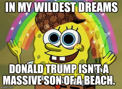 Imagination Spongebob | IN MY WILDEST DREAMS; DONALD TRUMP ISN'T A MASSIVE SON OF A BEACH. | image tagged in memes,imagination spongebob,scumbag | made w/ Imgflip meme maker