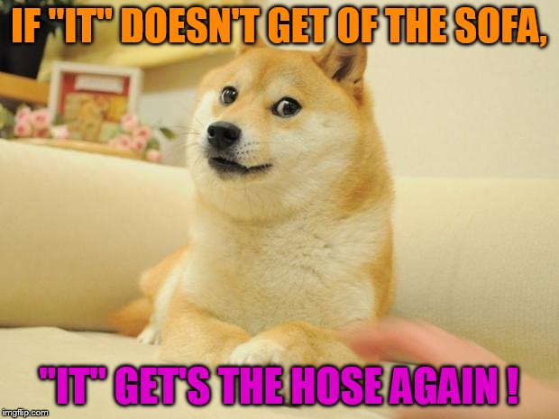silence of the doge!!! | IF "IT" DOESN'T GET OF THE SOFA, "IT" GET'S THE HOSE AGAIN ! | image tagged in memes,doge 2,silence of the lambs | made w/ Imgflip meme maker