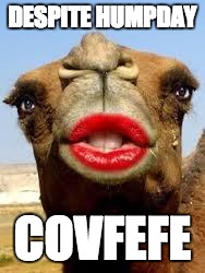 Camel face | DESPITE HUMPDAY; COVFEFE | image tagged in camel face | made w/ Imgflip meme maker