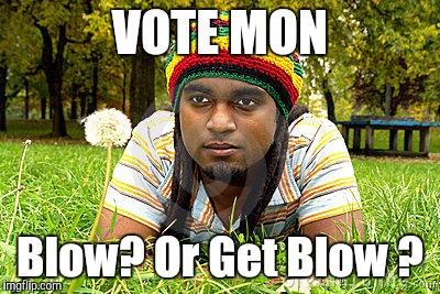 Memes | VOTE MON Blow? Or Get Blow ? | image tagged in memes | made w/ Imgflip meme maker