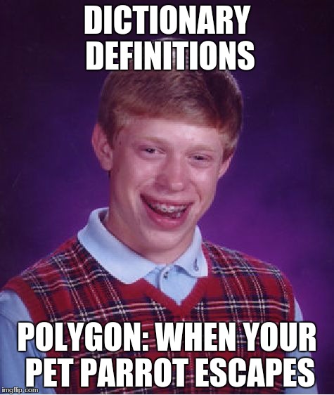 Bad Luck Brian Meme | DICTIONARY DEFINITIONS; POLYGON: WHEN YOUR PET PARROT ESCAPES | image tagged in memes,bad luck brian | made w/ Imgflip meme maker