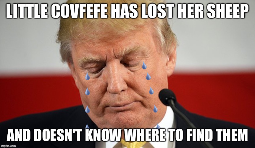 Little Covfefe Imgflip 