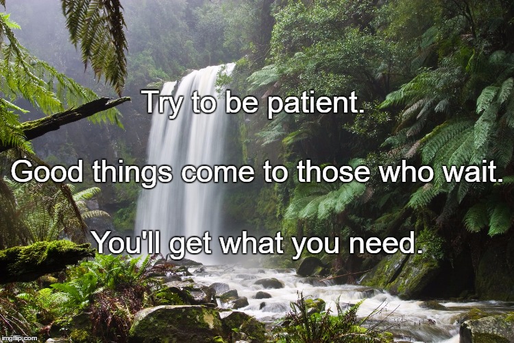 Nature's Truth | Try to be patient. Good things come to those who wait. You'll get what you need. | image tagged in nature's truth | made w/ Imgflip meme maker