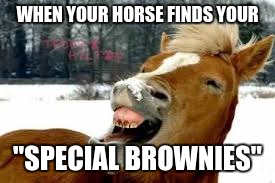Where did my brownies go? | WHEN YOUR HORSE FINDS YOUR; "SPECIAL BROWNIES" | image tagged in animals,horse,high,brownies | made w/ Imgflip meme maker