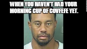 WHEN YOU HAVEN'T HAD YOUR MORNING CUP OF COVFEFE YET. | image tagged in tiger | made w/ Imgflip meme maker