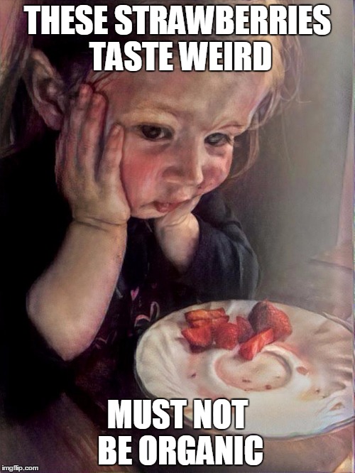 First World Kid Problems | THESE STRAWBERRIES TASTE WEIRD; MUST NOT BE ORGANIC | image tagged in first world kid problems | made w/ Imgflip meme maker