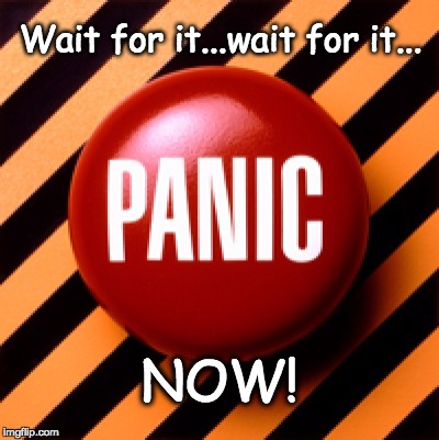 Time to Panic | Wait for it...wait for it... NOW! | image tagged in panic button | made w/ Imgflip meme maker