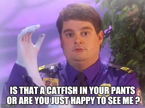 What is it with Hockey fans and seafood ? | IS THAT A CATFISH IN YOUR PANTS OR ARE YOU JUST HAPPY TO SEE ME ? | image tagged in memes,tsa douche,ice hockey,seafood | made w/ Imgflip meme maker