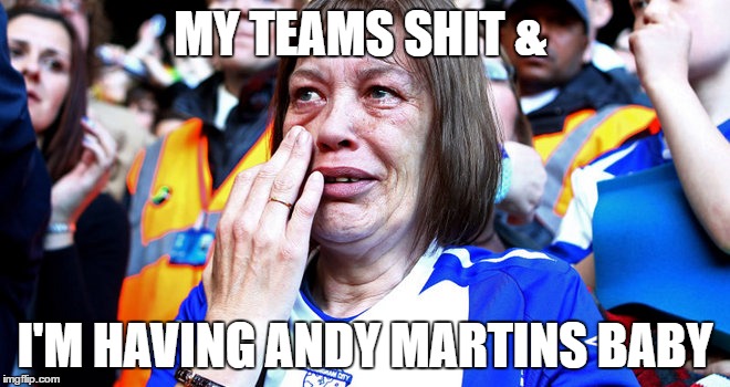 MY TEAMS SHIT &; I'M HAVING ANDY MARTINS BABY | image tagged in blues sad bird | made w/ Imgflip meme maker