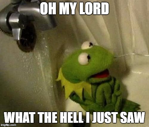 Kermit on Shower | OH MY LORD; WHAT THE HELL I JUST SAW | image tagged in kermit on shower | made w/ Imgflip meme maker
