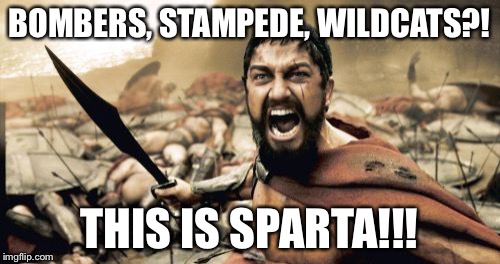 Sparta Leonidas | BOMBERS, STAMPEDE, WILDCATS?! THIS IS SPARTA!!! | image tagged in memes,sparta leonidas | made w/ Imgflip meme maker