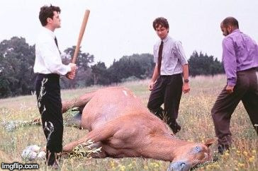 Office Space Dead Horse Beating | image tagged in office space dead horse beating | made w/ Imgflip meme maker