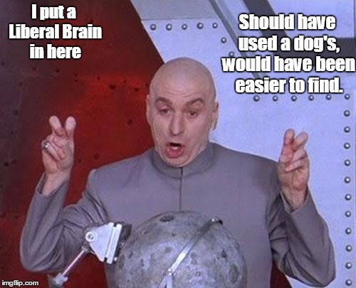 Dr Evil Laser | I put a Liberal Brain in here; Should have used a dog's, would have been easier to find. | image tagged in memes,dr evil laser | made w/ Imgflip meme maker