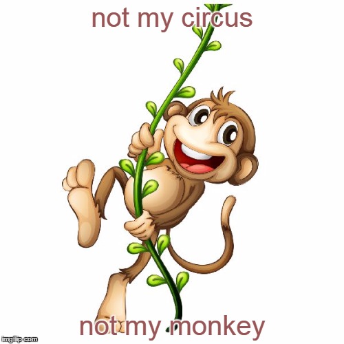 monkey vine | not my circus; not my monkey | image tagged in monkey vine | made w/ Imgflip meme maker