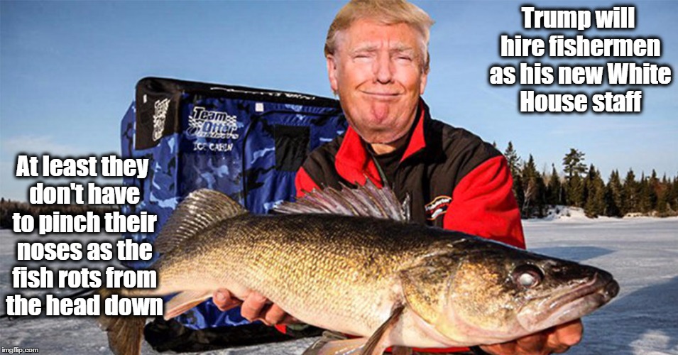 Trump the Fish | Trump will hire fishermen as his new White House staff; At least they don't have to pinch their noses as the fish rots from the head down | image tagged in resist,donald trump,white house,fish,fishingtrumpspolitics | made w/ Imgflip meme maker