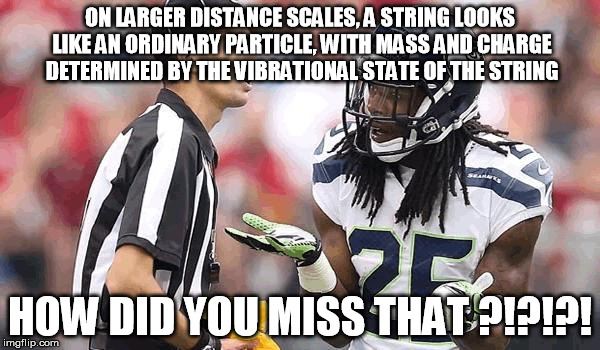 Seahawks Refs1 | ON LARGER DISTANCE SCALES, A STRING LOOKS LIKE AN ORDINARY PARTICLE, WITH MASS AND CHARGE DETERMINED BY THE VIBRATIONAL STATE OF THE STRING; HOW DID YOU MISS THAT ?!?!?! | image tagged in seahawks refs1 | made w/ Imgflip meme maker