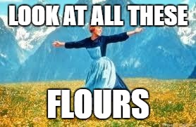 Look at dems fleurews | LOOK AT ALL THESE; FLOURS | image tagged in memes,look at all these | made w/ Imgflip meme maker