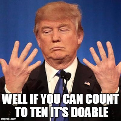 WELL IF YOU CAN COUNT TO TEN IT'S DOABLE | made w/ Imgflip meme maker