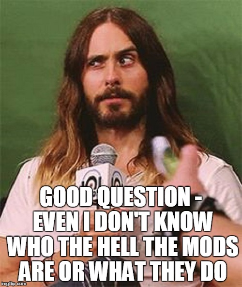 GOOD QUESTION - EVEN I DON'T KNOW WHO THE HELL THE MODS ARE OR WHAT THEY DO | made w/ Imgflip meme maker