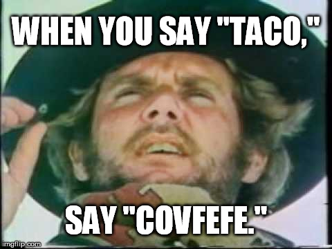 WHEN YOU SAY "TACO,"; SAY "COVFEFE." | image tagged in covfefe | made w/ Imgflip meme maker