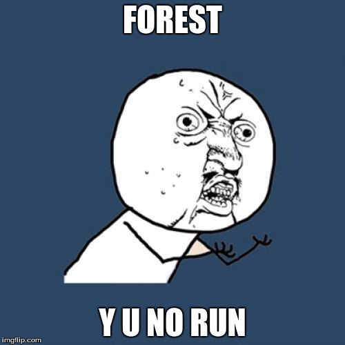 Y U No | FOREST; Y U NO RUN | image tagged in memes,y u no | made w/ Imgflip meme maker