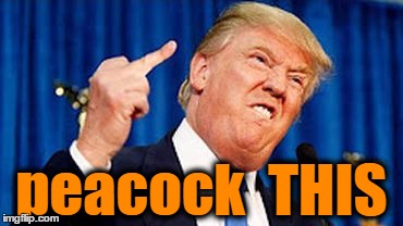 peacock  THIS | made w/ Imgflip meme maker