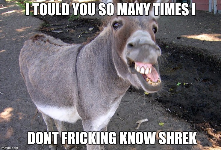 Funny Donkey | I TOULD YOU SO MANY TIMES I; DONT FRICKING KNOW SHREK | image tagged in funny donkey | made w/ Imgflip meme maker